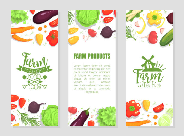 农产品横幅模板设置与空间的文本，健康的天然食品，有机商店，农场市场设计元素矢量插图图片下载