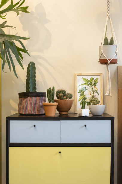 室内设计细节采用不同的仙人掌、花瓶和黑黄家具图片下载