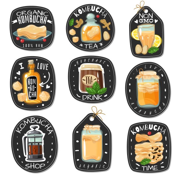 康普茶象征。康普茶发酵益生菌茶标签标志集。成分的饮料。招聘广告短语。矢量图图片下载