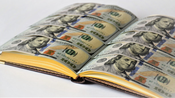 有页钞票的日记，一百元钞票，有钱的笔记本，商业日记，利润概念，商业计划图片下载