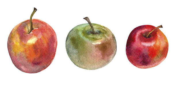 水果元素的集合。苹果。水彩图片下载
