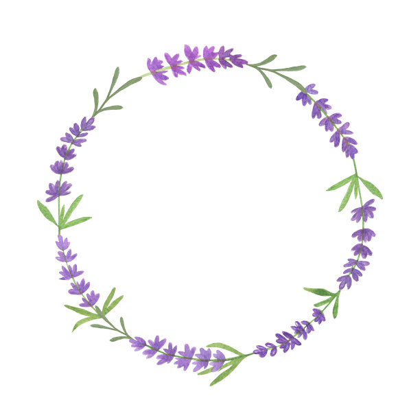 浪漫的圆花圈与淡紫罗兰温柔的薰衣草枝条在白色的背景，水彩插图的问候卡邀请纺织旅游用品，法国普罗旺斯的象征图片下载