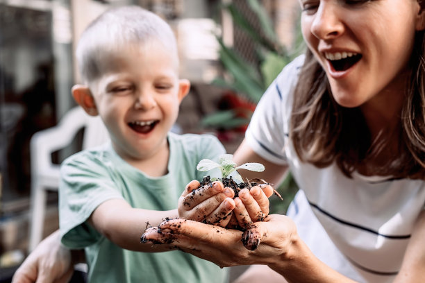 植物在小男孩的手中发芽了。37、务农环保理念图片下载