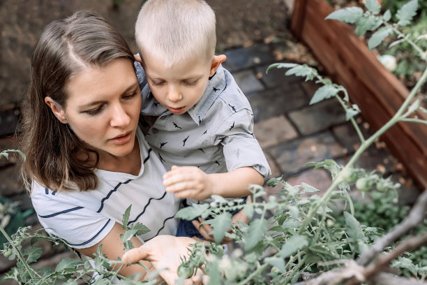 母亲抱着儿子，向他展示西红柿是如何生长的。37、务农环保理念图片下载