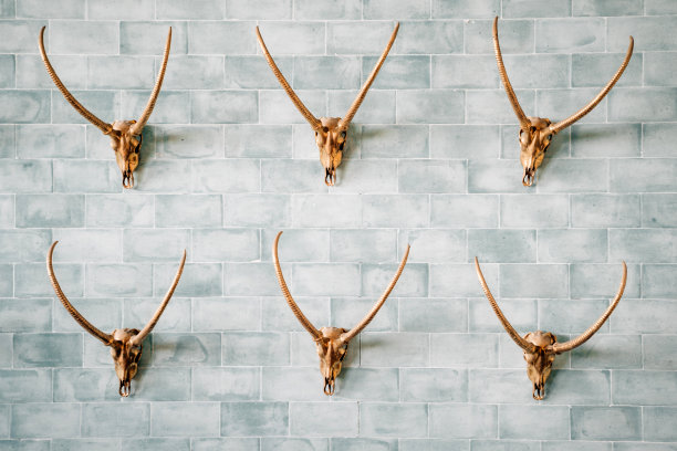 墙上装饰雕刻了金色的动物头骨。图片下载