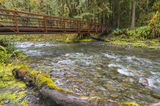 横跨奥林匹克国家公园森林河的钢桥，美国华盛顿。图片下载