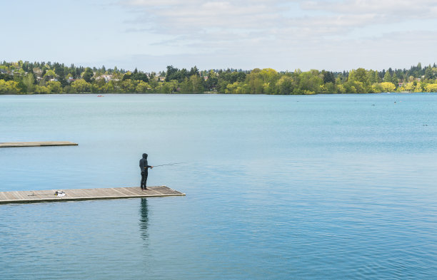一个男人在公园的蓝色湖泊钓鱼。图片下载