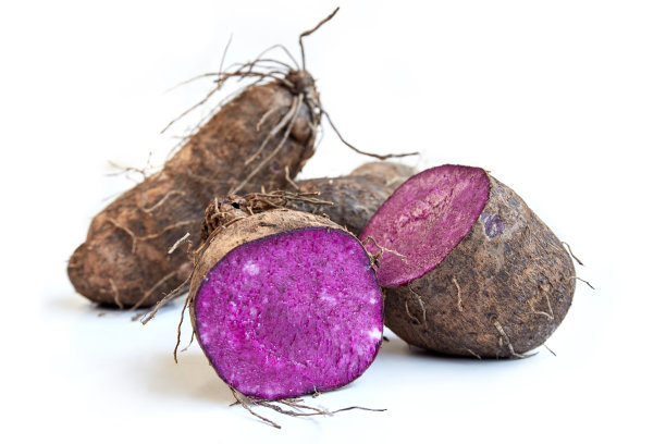 在白色背景上分离的新鲜山药根图片下载