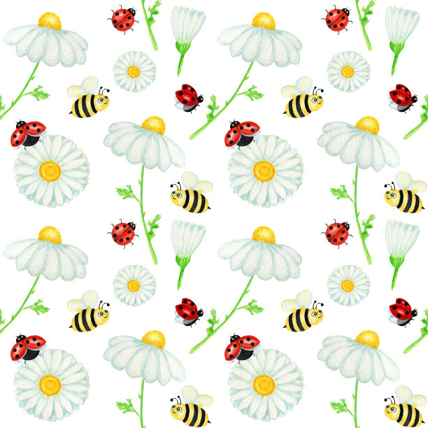 水彩雏菊洋甘菊花无缝图案与蝇瓢虫，蜜蜂插图。白底手绘草本植物。白色的花，芽，茎，草。野生植物园开花图片下载