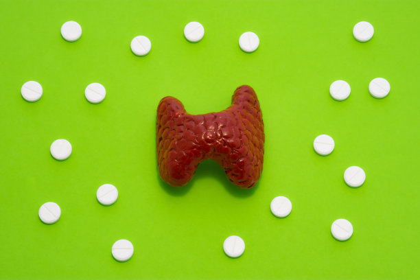 绿色背景中环绕着白色圆点点缀的丸子，与解剖原点相对应的甲状腺模型或图形。照片用于内分泌学，激素图片下载