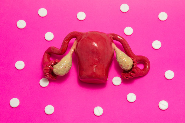 女性子宫解剖模型，卵巢为粉红色背景，四周为白色片剂，形成圆点花纹点缀。概念艺术照片用于妇科、妇女生殖健康图片下载