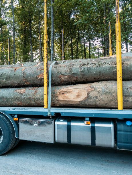 大树干装载到卡车拖车上，并系好准备运输图片下载