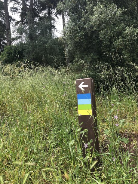 明智地选择你的道路图片下载