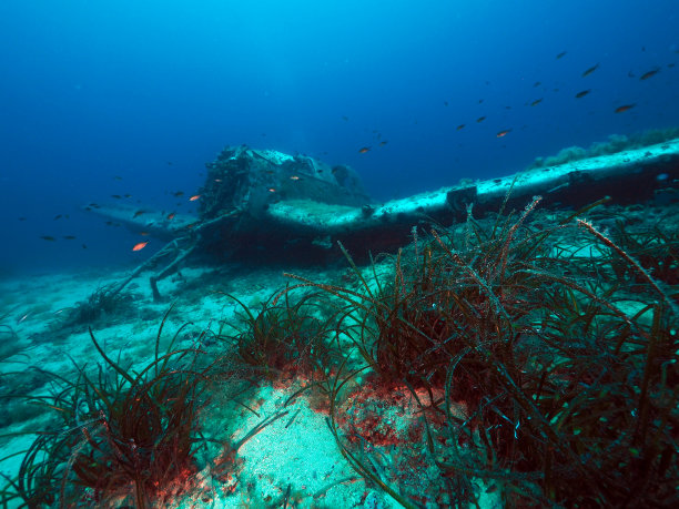 海面上的斯图卡沉船图片下载
