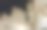 晚上的圣母大教堂。佛罗伦萨。意大利。图片下载