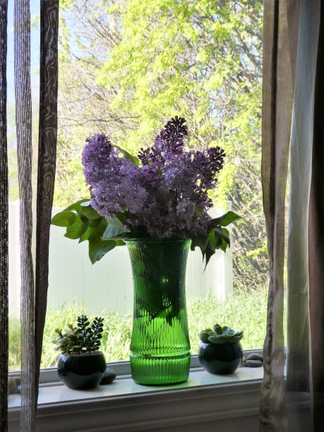 花在一个绿色传统的绿色花瓶与窗帘在每一边和院子的树在背景图片下载