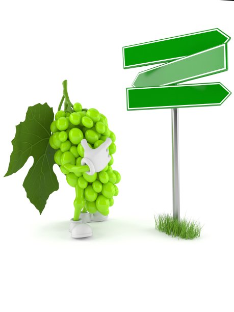 葡萄字符与空白路标图片下载