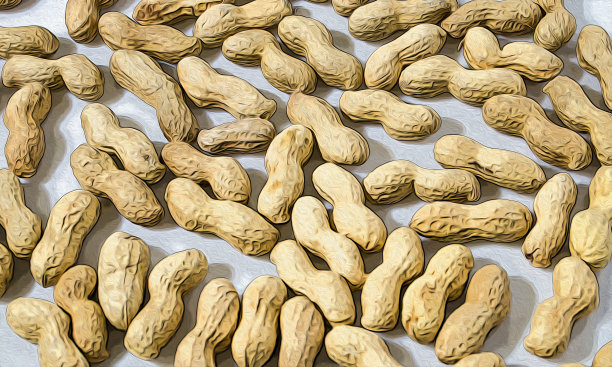 干果成分说明图片下载