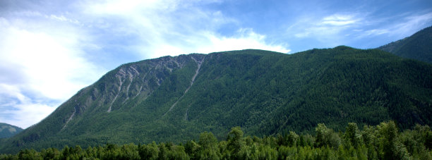 一个长满针叶林的山脉的全景拍摄，晚上的拍摄。图片下载