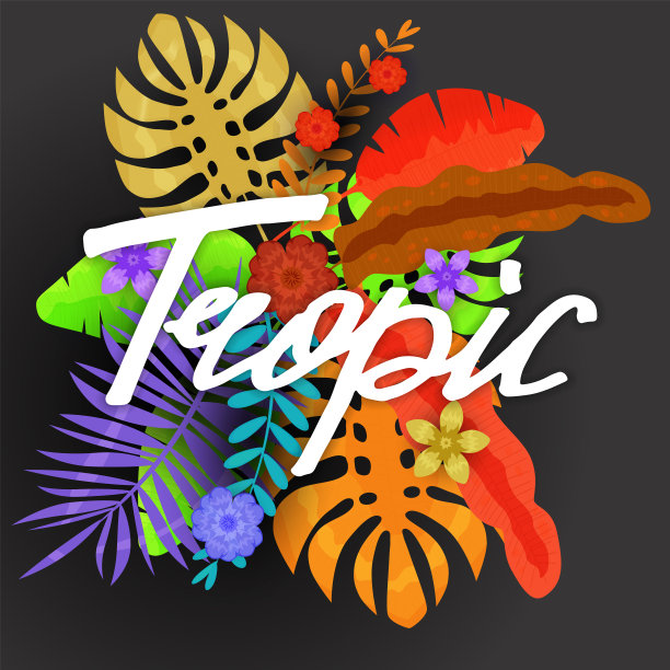 夏季时髦的热带树叶异国植物棕榈丛林叶。刻字趋势颜色在黑暗的背景模板横幅。矢量插图孤立图片下载