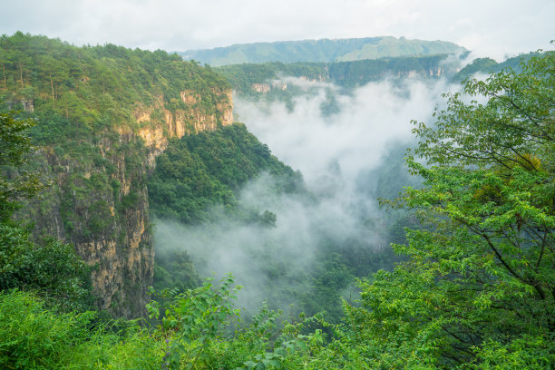 峡谷和雾图片下载