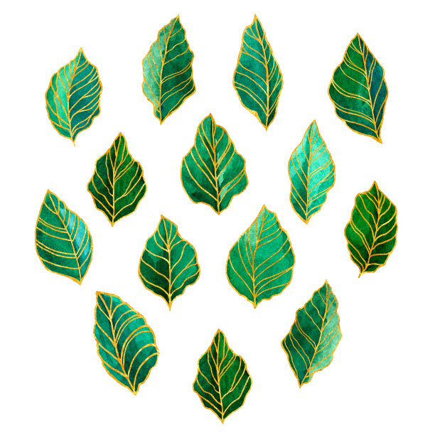 一套水彩绿色森林树叶。金色的条纹，写意的线条。图片下载