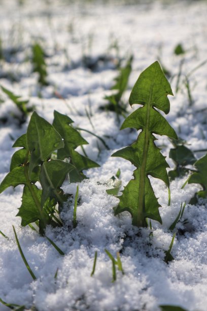 艰难时期保持坚强图片下载