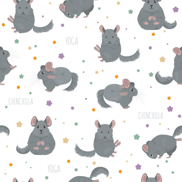 栗鼠瑜伽的姿势和练习。可爱卡通无缝图案图片下载