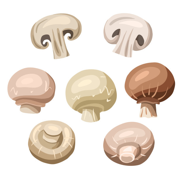 设置平手绘香菇图片下载