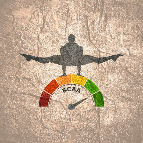 运动营养的概念图片下载