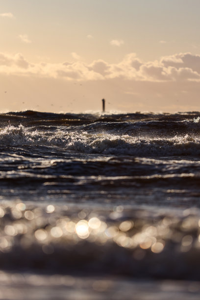 海边日落观云，海鸥在多云的阴天傍晚飞翔。图片下载