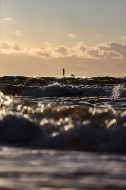 海边日落观云，海鸥在多云的阴天傍晚飞翔。图片下载