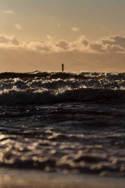 海边日落观云，海鸥在多云的阴天傍晚飞翔。图片下载