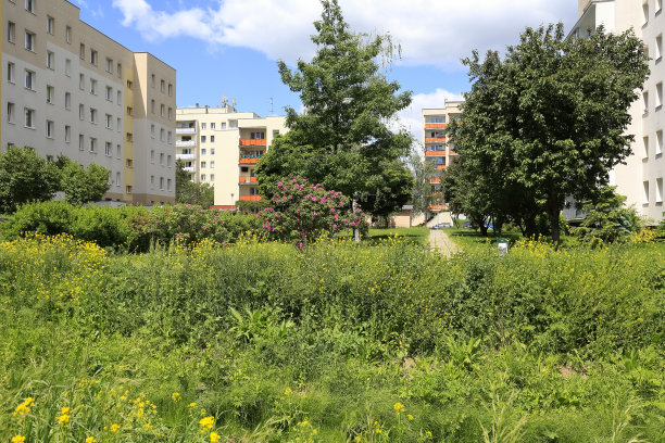 植物生长在住宅小区的观点图片下载