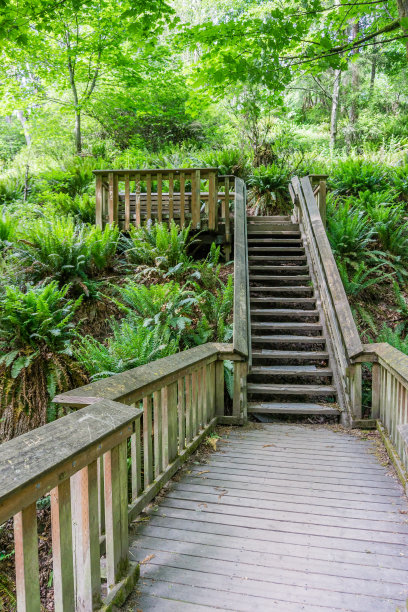 步道木桥2图片下载