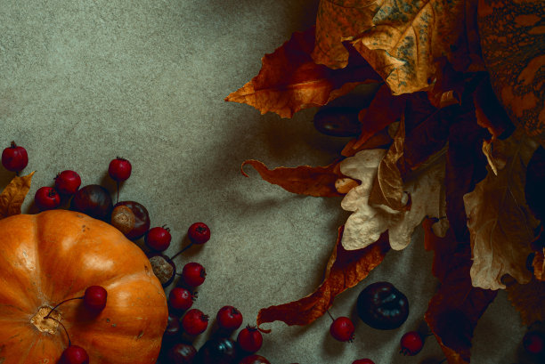 南瓜。各种树木的干叶子。栗子。橡实。红色的野生浆果。花岗岩石材的背景。秋天，万圣节，感恩节或生态概念照片。恐怖的风格。图片下载