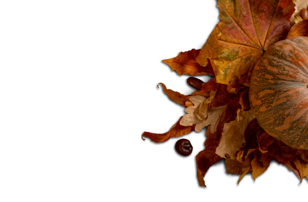 南瓜。各种树木的干叶子。栗。橡实。在白色背景上。秋天，万圣节，感恩节或生态概念照片。图片下载