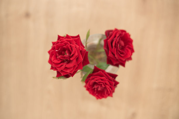 红色玫瑰花束在模糊的木制背景上图片下载