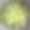 粉红红宝石肉质植物图片下载