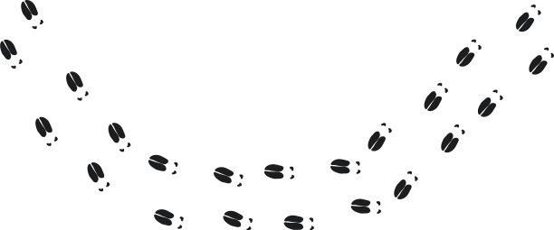 鹿的脚印设计鹿的脚印图片下载