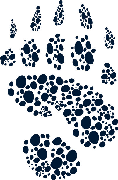 老虎脚印设计狮子脚印图片下载