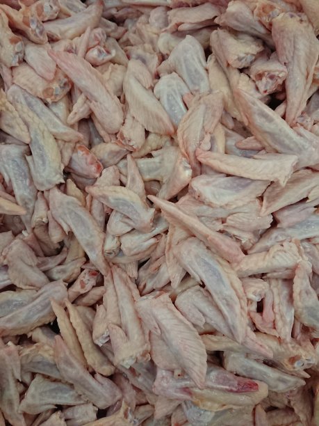 鸡翅膀图片下载