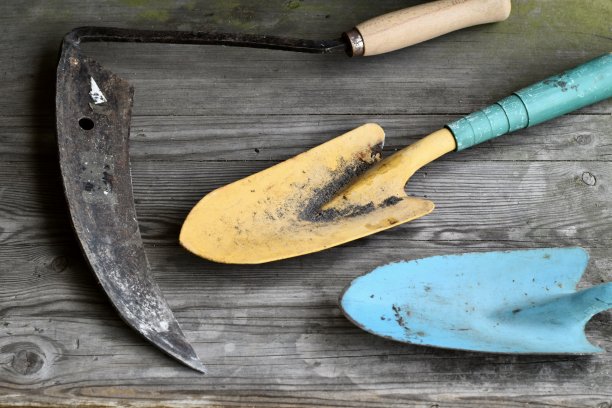 老式园艺工具和设备图片下载