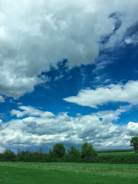 草地景观与美丽的云彩图片下载