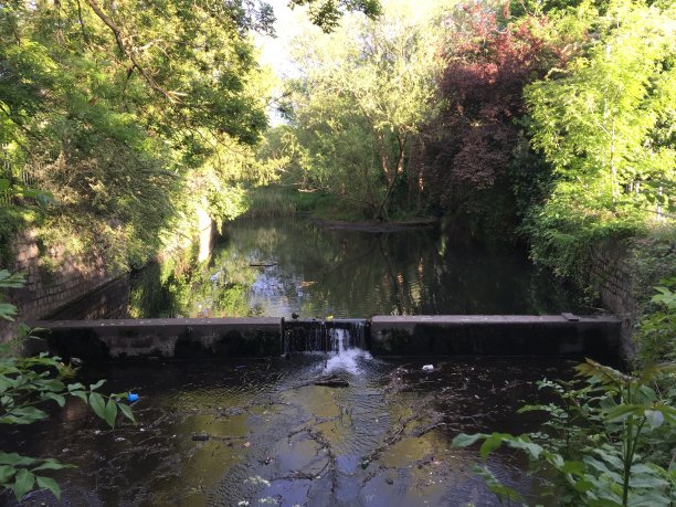 Ravensbourne河图片下载