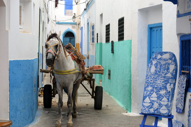 马和传统的马车图片下载