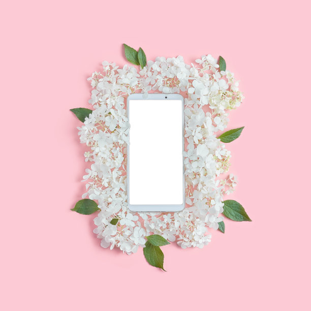 白色绣球花在粉红色背景上的美丽构图。黑屏智能手机。最小布局，平面布局，方形框架图片下载