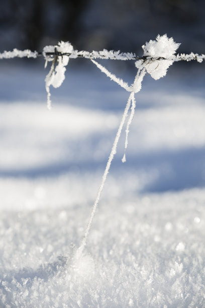 冰冻的线和冰花图片下载