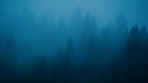 蓝、黑、雾的山林图片下载
