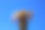 非洲-蓝色天空下高大的红色芦荟的特写图片下载